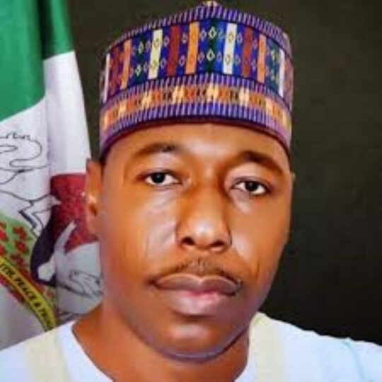 Zulum seeks nemas support to resettle maiduguri flood victims - nigeria newspapers online